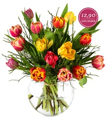 Bild zu Blumenstrauß “Tulipa” für 12,90€ zzgl. 5,90€ Versand