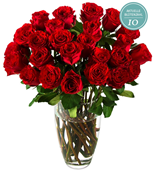 Bild zu Miflora Rosen Rallye – bis zu 25 Hot Blood Rosen für 20,80€ inklusive Versand