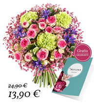 Bild zu Miflora: Blumenstrauß “Nur für Dich” + gratis Grußkarte für 19,80€ inkl. Versand