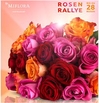 Bild zu Miflora: Rosen Rallye – 28 bunte Rosen für 18,90€