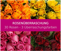 Bild zu Blume Ideal: Rosenüberraschung mit 30 bunten Rosen (50cm) für 17,94€