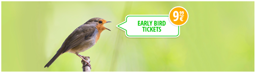 Bild zu Flixbus: Early Bird Tickets quer durch Europa für je 9,99€