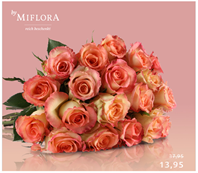 Bild zu Miflora: Graceful Rose – 25 rosa Rosen für 18,90€ inklusive Versand