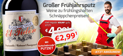 Bild zu Weinvorteil: 6 Flaschen Casa del Valle – El Tidón Tempr.-Cabernet für 22,89€