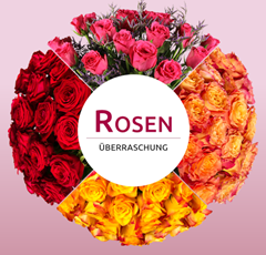 Bild zu Miflora: Rosenüberraschung mit 28 Rosen für 18,90€