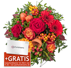 Bild zu Lidl: Blumenstrauß Abendsonn inkl. 20€ Geschenkkarte von parfumdreams.de für 22,99€