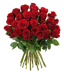 Bild zu Blume Ideal: 40 rote Rosen (50cm Stiellänge) für 24,94€