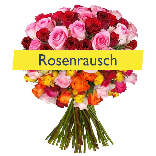 Bild zu BlumeIdeal: 34 bunte Rosen (50cm Stiellänge) für 19,94€