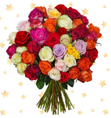 Bild zu Blume Ideal: Blumenstrauß mit 39 bunten Rosen (50cm Stiellänge) für 22,94€