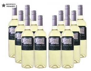 Bild zu 12er Paket Bodegas Vinedos Contralto – Calle Principal Sauvignon Blanc Weißwein für 39,99€