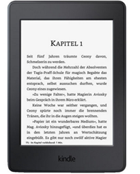 Bild zu Kindle Paperwhite (2015) eReader für 79,99€