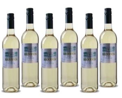 Bild zu [nur 200 Pakete] Weinvorteil: 6 Flaschen Utiel Requena DO – Bodegas Coviñas Requevin–Macabeo für 19,99€