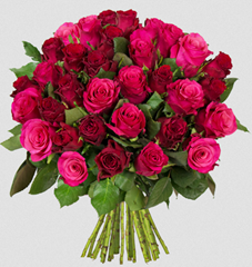 Bild zu Blume Ideal: Blumenstrauß mit 35bunten Rosen (50cm Stiellänge) für 22,94€