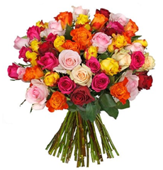 Bild zu Blume Ideal: Blumenstrauß mit 42 bunten Rosen (50cm Stiellänge) für 23,94€