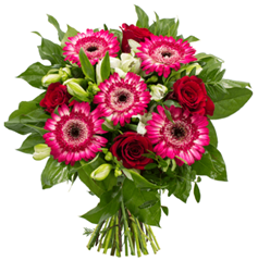 Bild zu Blume Ideal: Rosenstrauß „Von Herzen“ für 19,94€