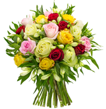 Bild zu Blume Ideal: Blumenstrauß “Only for You” mit 21 Inkalilien und 20 Rosen für 24,98€