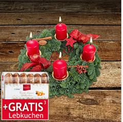 Bild zu Lidl Blumen: 25% Rabatt ab 22,99€ Bestellwert + gratis Versand