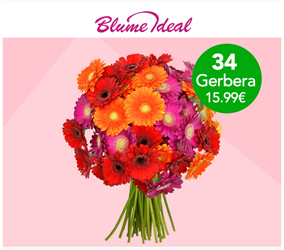 Bild zu BlumeIdeal: 34 bunte Gerbera für 20,98€ inkl. Versand