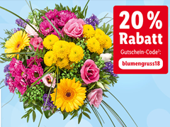 Bild zu 20% Rabatt (ab 24,99€ Bestellwert) bei Lidl Blumen + keine Versandkosten