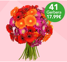 Bild zu Blume Ideal: Blumenstrauß mit 41 bunten Gerberas für 22,98€