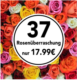 Bild zu Blume Ideal: Rosenüberraschung mit 41 Rosen (50cm Stiellänge) für 22,98€