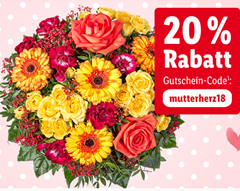 Bild zu 20% Rabatt (ab 24,99€ Bestellwert) bei Lidl Blumen + keine Versandkosten