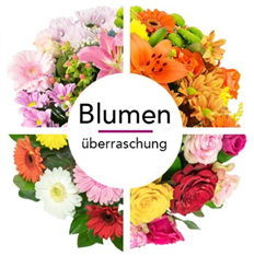 Bild zu Blume Ideal: Blumenüberraschung für 22,98€