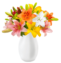 Bild zu Blume Ideal: Blumenstrauß mit 17 Lilien (bis zu 60 Blüten) für 19,98€