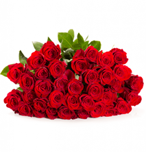 Bild zu Blume Ideal: Blumenstrauß „ClassicRed“ mit 53 roten Rosen für 24,98€ inkl. Versand