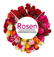 Bild zu Blume Ideal: Rosenüberraschung mit 40 Rosen (50cm Stiellänge) für 23,98€