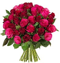 Bild zu Blume Ideal: Blumenstrauß 45 „RomanticRoses“ für 24,98€ inkl. Versand