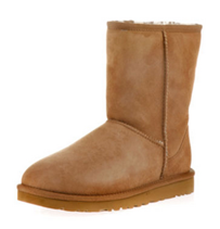 Bild zu UGG Boots Classic Short chestnut für 109,59€ (Vergleich: 134,39€)