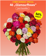 Bild zu Blume Ideal: Blumenstrauß mit 46 bunten FAIRTRADE Rosen für 24,98€