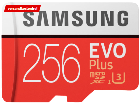 Bild zu SAMSUNG Evo Plus 256 GB für 39€ inkl. Versand (Vergleich: 44,95€)