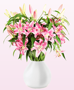 Bild zu Blume Ideal: Blumenstrauß mit 17 pinken Lilien (bis zu 60 Blüten) für 19,98€