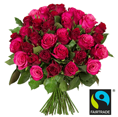 Bild zu Blume Ideal: Blumenstrauß “RomanticRoses” mit 45 pinken und roten Rosen für 24,98€