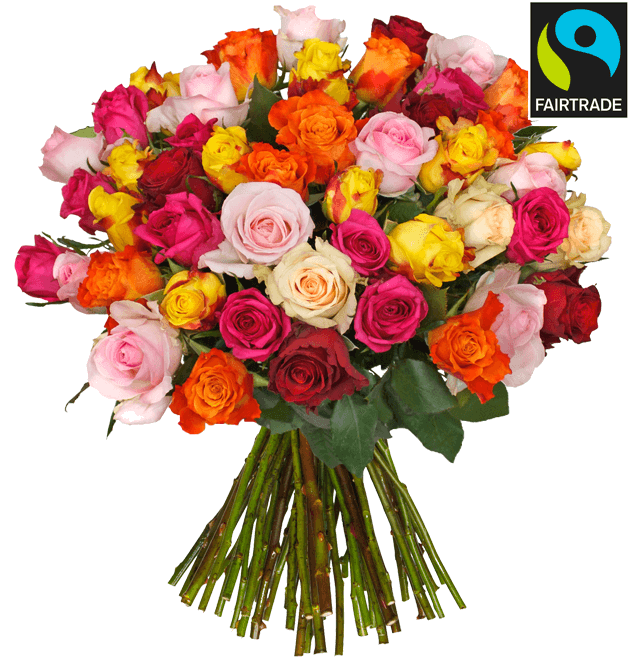 Bild zu Blume Ideal: 47 bunte Rosen für 24,98€ inkl. Versand