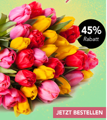 Bild zu Blume Ideal: Blumenstrauß mit 50 bunten Tulpen (40cm Länge) für 24,98€