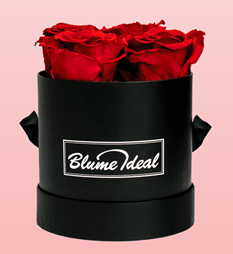 Bild zu Blume Ideal: Rosenbox “Meine Liebste” mit 4 roten Infinity Rosen (jahrelang haltbar) für 34,98€