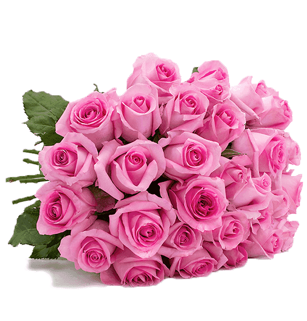 Bild zu Blume Ideal: Blumenstrauß “Pink Diamonds“ mit 33 Rosen für 20,98€