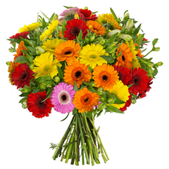 Bild zu Blume Ideal: Blumenstrauß mit 15 bunten Gerbera und 15 Inkalilien für 24,98€