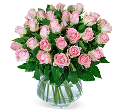 Bild zu Blume Ideal: Blumenstrauß mit 35 roséfarbene Rosen für 22,98€