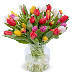 Bild zu Blume Ideal: Blumenstrauß mit 44 bunten Tulpen für 24,98€