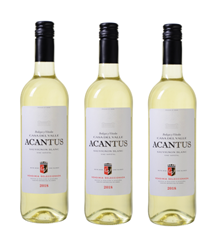 Bild zu Weinvorteil: 6 Flaschen des mehrfach prämierten Acantus Sauvignon Blanc aus Spanien von 2018 für 31,89€