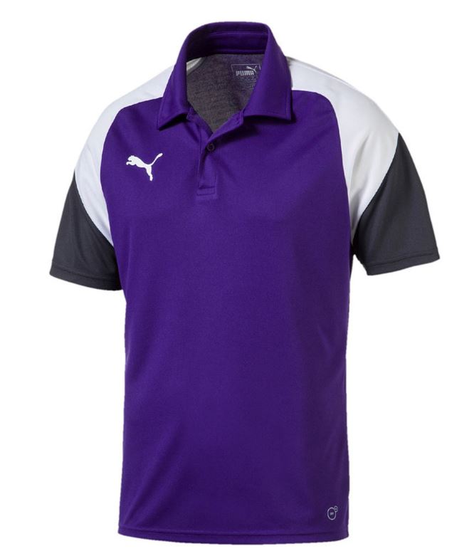 Bild zu PUMA Esito 4 Polo Shirt für Kinder und Erwachsene für 5,55€ zzgl. Versand (VG: 12,50€)