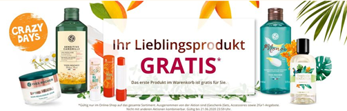 Bild zu [Super] Yves Rocher: das erste Produkt im Warenkorb gibt es gratis + kostenloser Versand ab 20€ + 10€ Rabatt ab 40€ oder 15% ab 45€