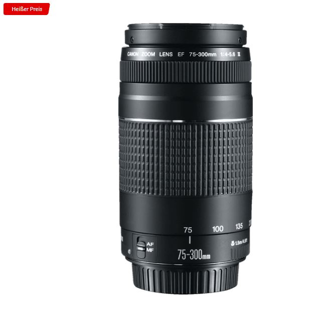 Bild zu CANON EF III 75 mm – 300 mm f/4-5.6 EF Objektiv für 96,51€ (VG: 145€)