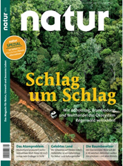 Bild zu Jahresabo der Zeitschrift Natur für 86,40€ + 75€ Scheck