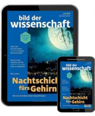 Bild zu Bild der Wissenschaft E-Paper für 88,80€ + 85€ Prämie