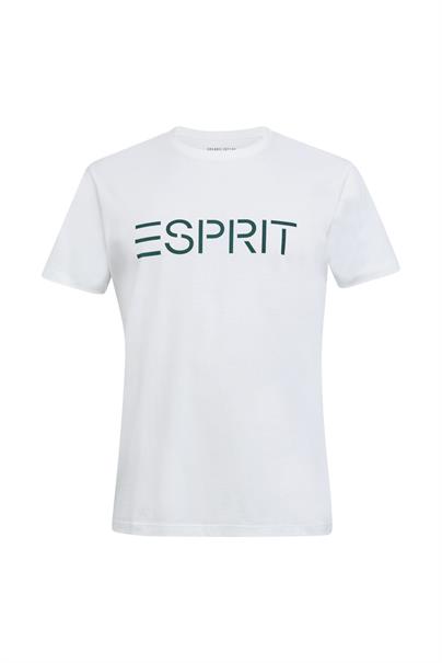 Bild zu Esprit Herren T-Shirts im 6er Pack für 30€